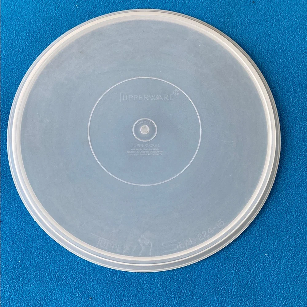 Tupperware Divided Serving Tray, Lid, Handle Vintage